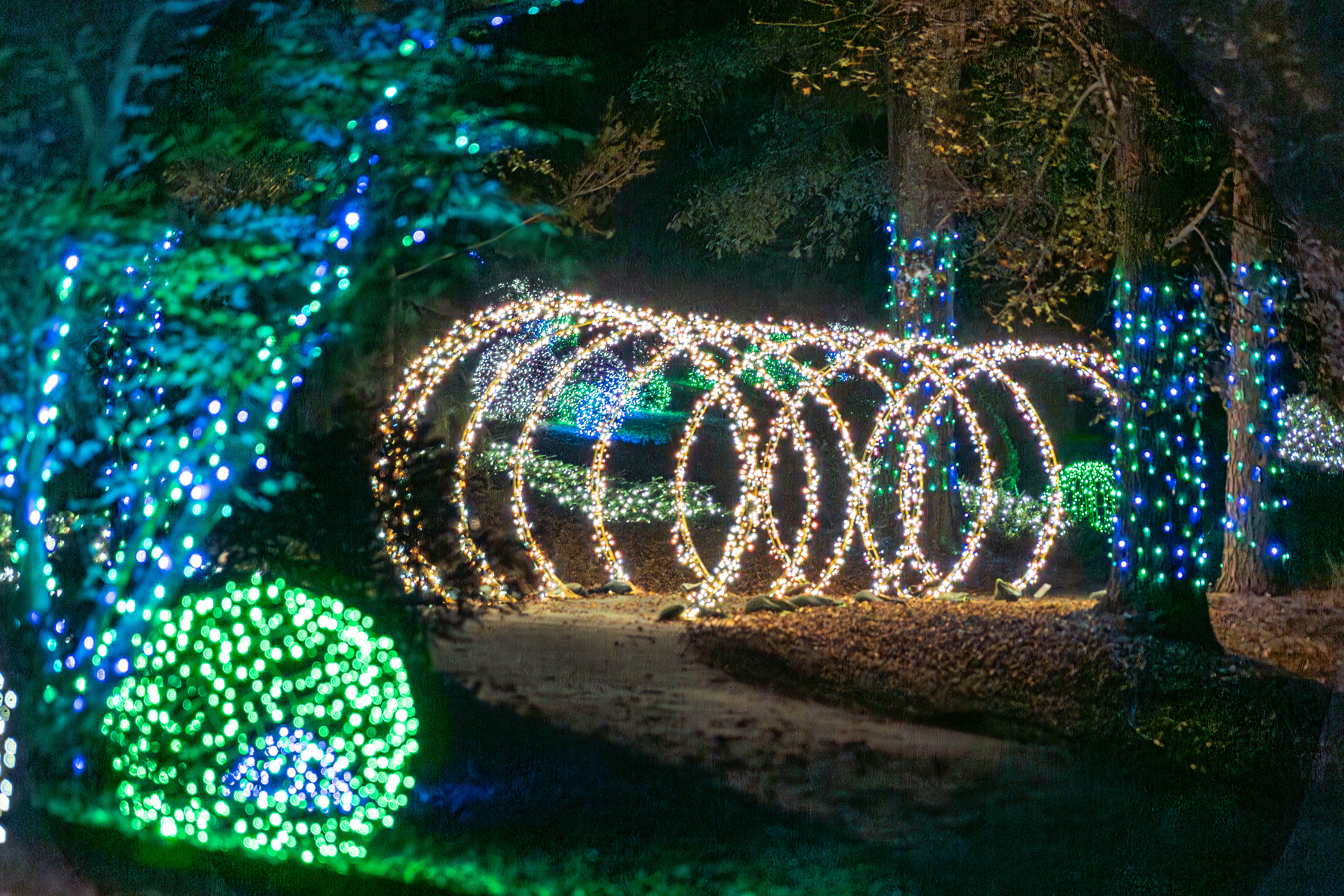 Meet: Lockerly in Lights