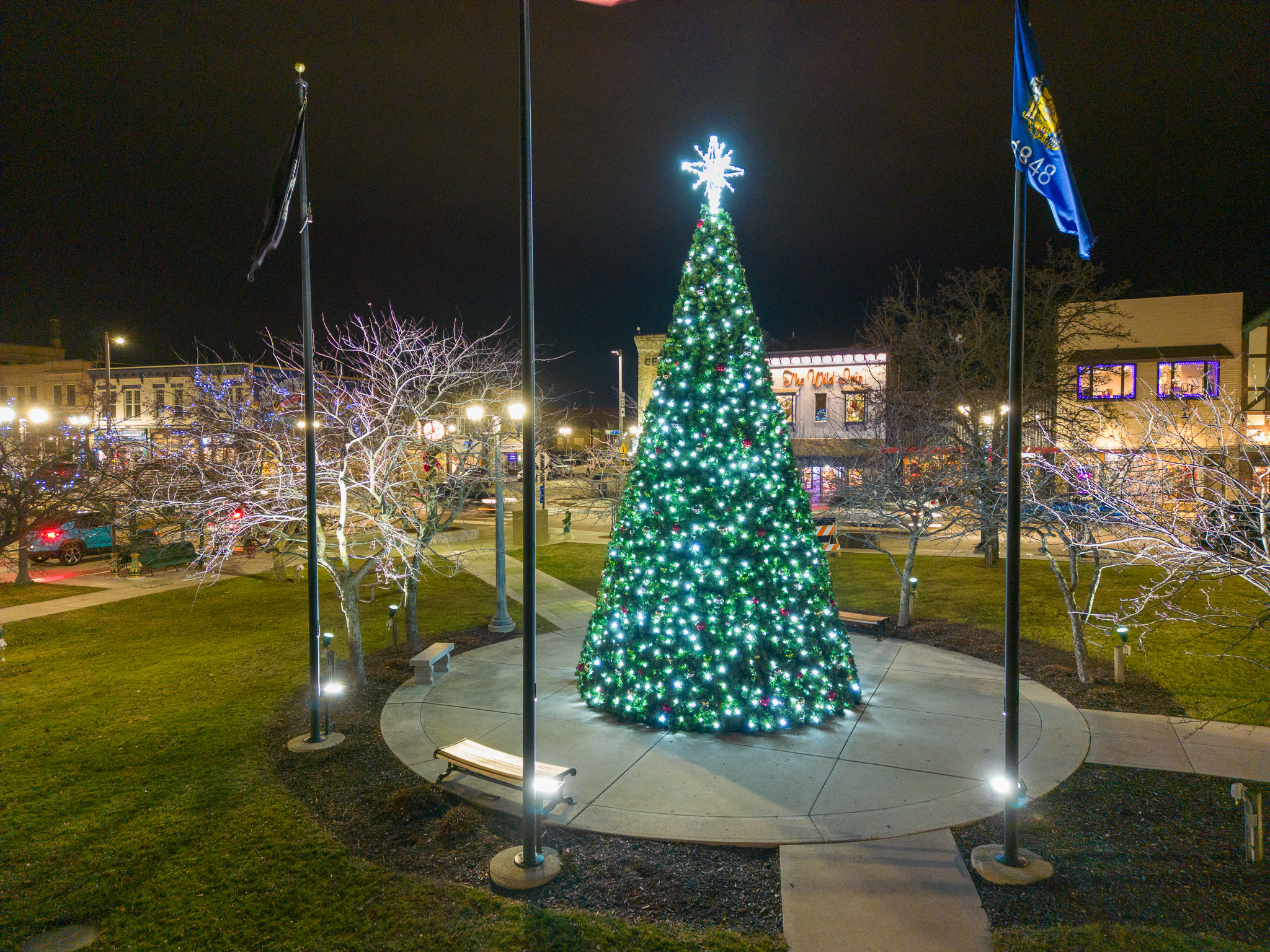 Christmas tree graces State House Rotunda, but no public lighting event, image size:2048x1536