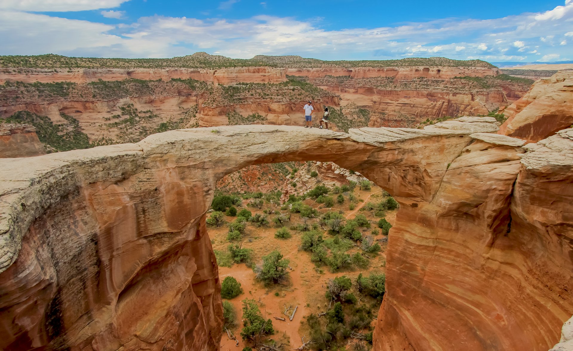 Rattlesnake Arches