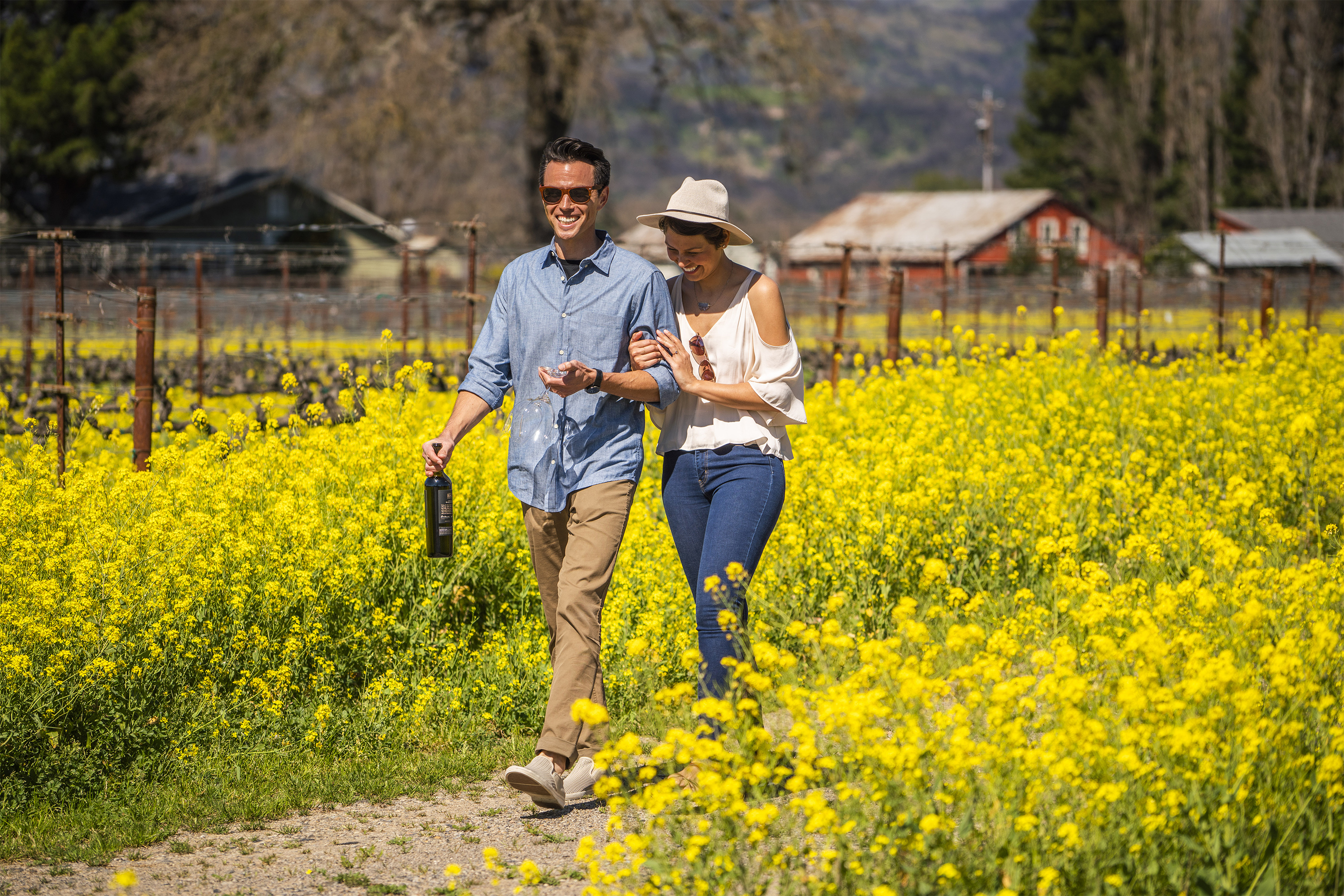 http://res.cloudinary.com/simpleview/image/upload/v1707417736/clients/napavalley/mustard_field_in_Napa_Valley_ceaee790-1e3f-4736-a74e-57423d4838f8.jpg