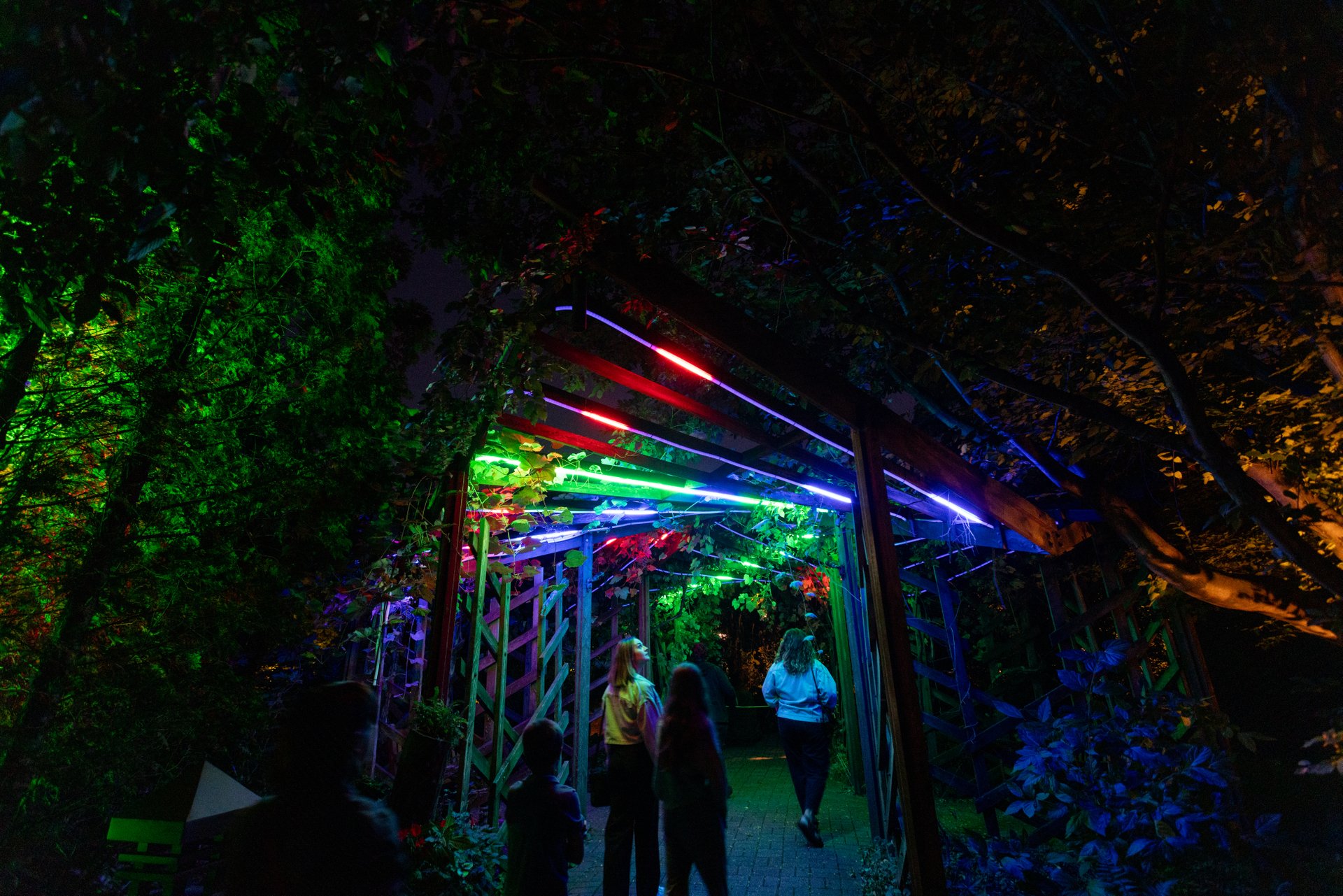 Events in Madison, WI | Concerts, Hikes & Art Exhibits events-in-madison-wi-concerts-hikes-art-exhibits