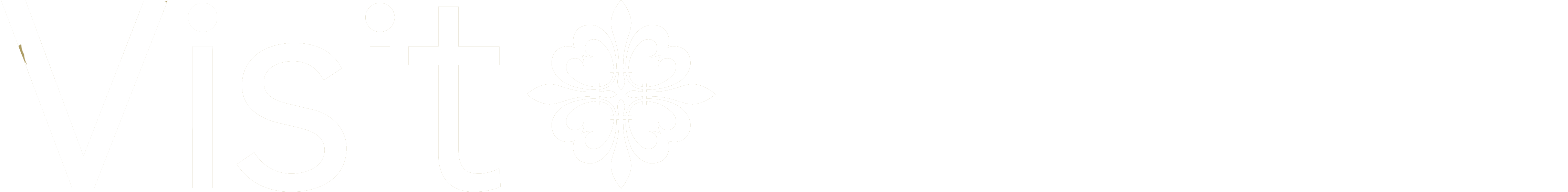 Visit Lincoln logo white
