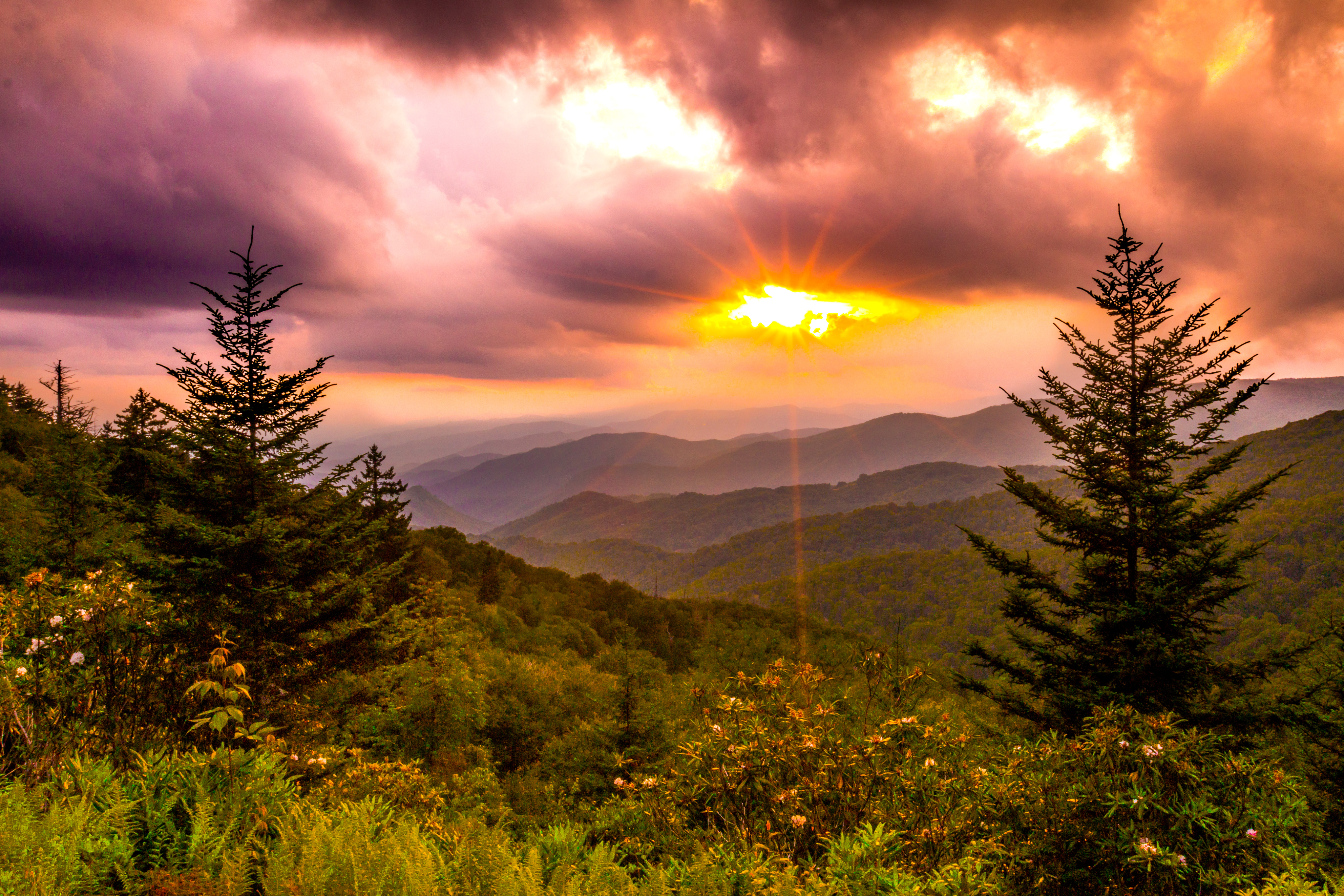 Great Smoky Mountains National Park | Trails & Camping Tips