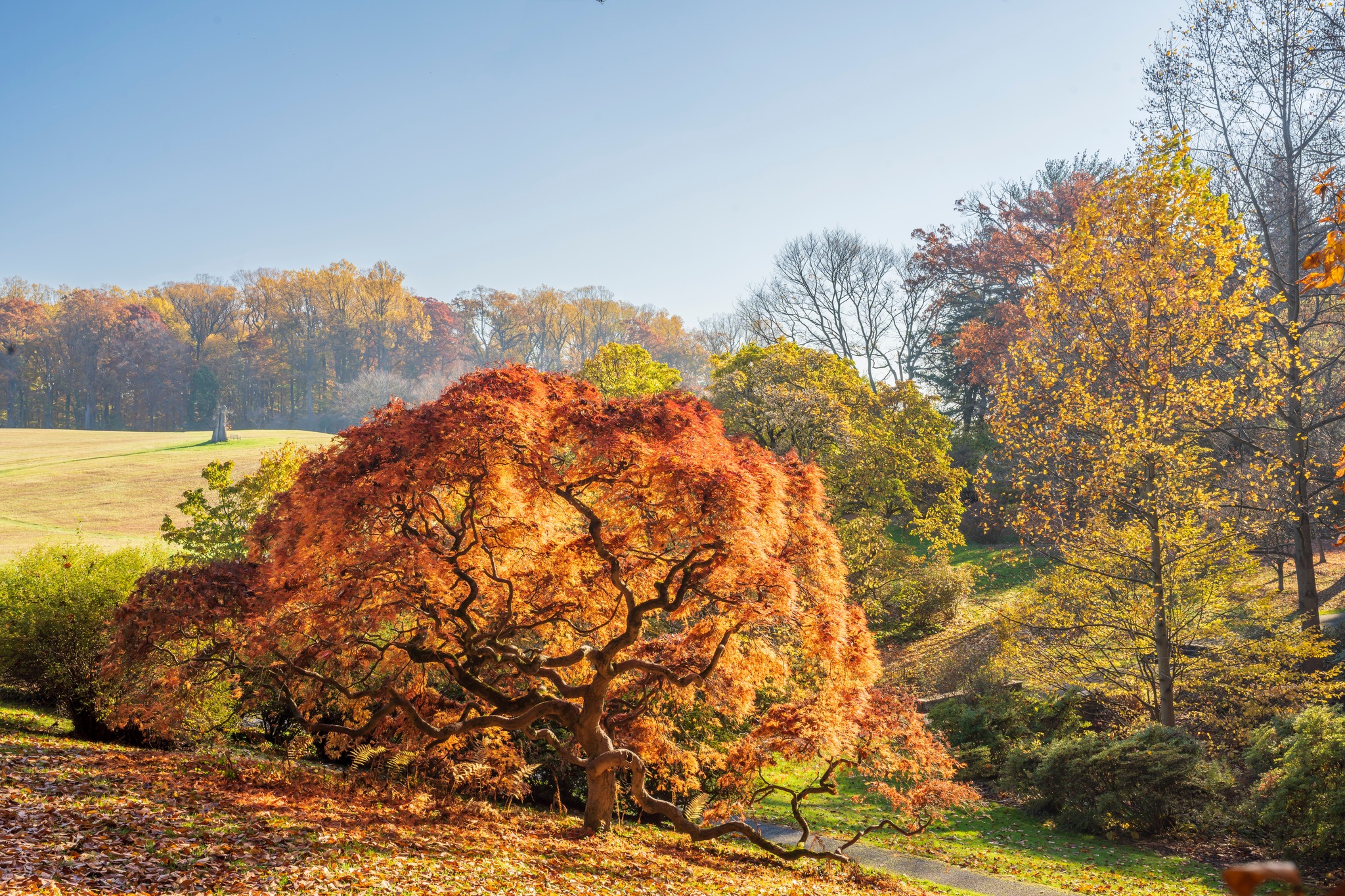 Fall Foliage in Delaware | Visit Delaware, image size:2048x1365