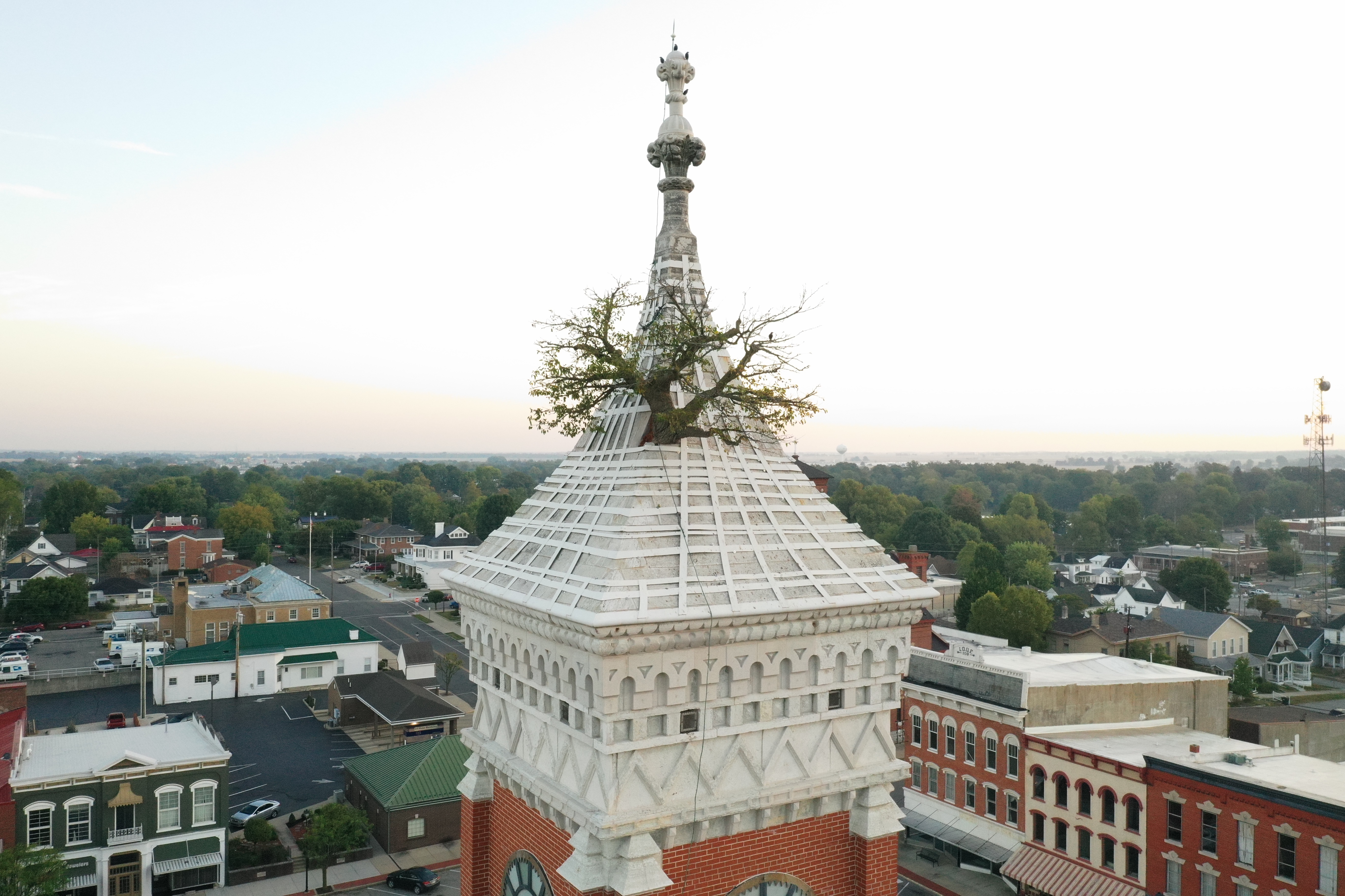 インディアナ州　The Tower Tree グリーンズバーグ Tower Tree - Visit Greensburg