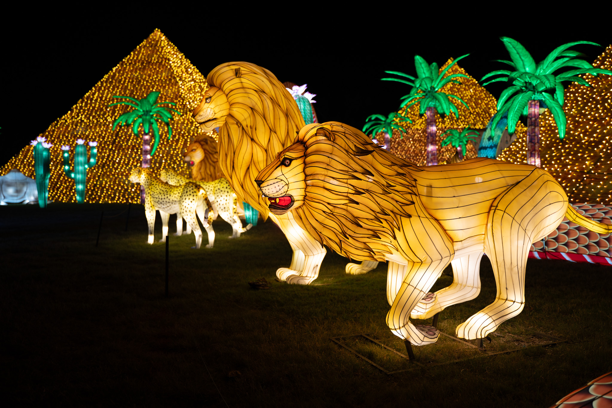 Events in Wichita, KS | Wild Lights Lantern Festival