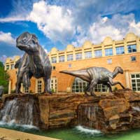 FERNBANK MUSEUM OF NATURAL HISTORY