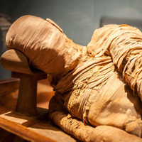 MICHAEL C. CARLOS MUSEUM