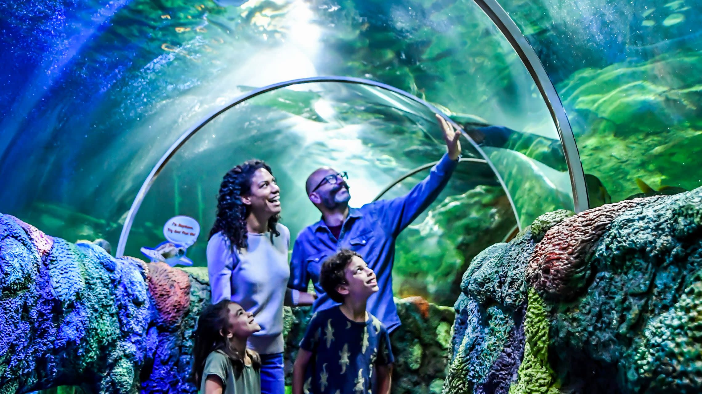 family of four stand inside ocean tunnel as sting rays swim past