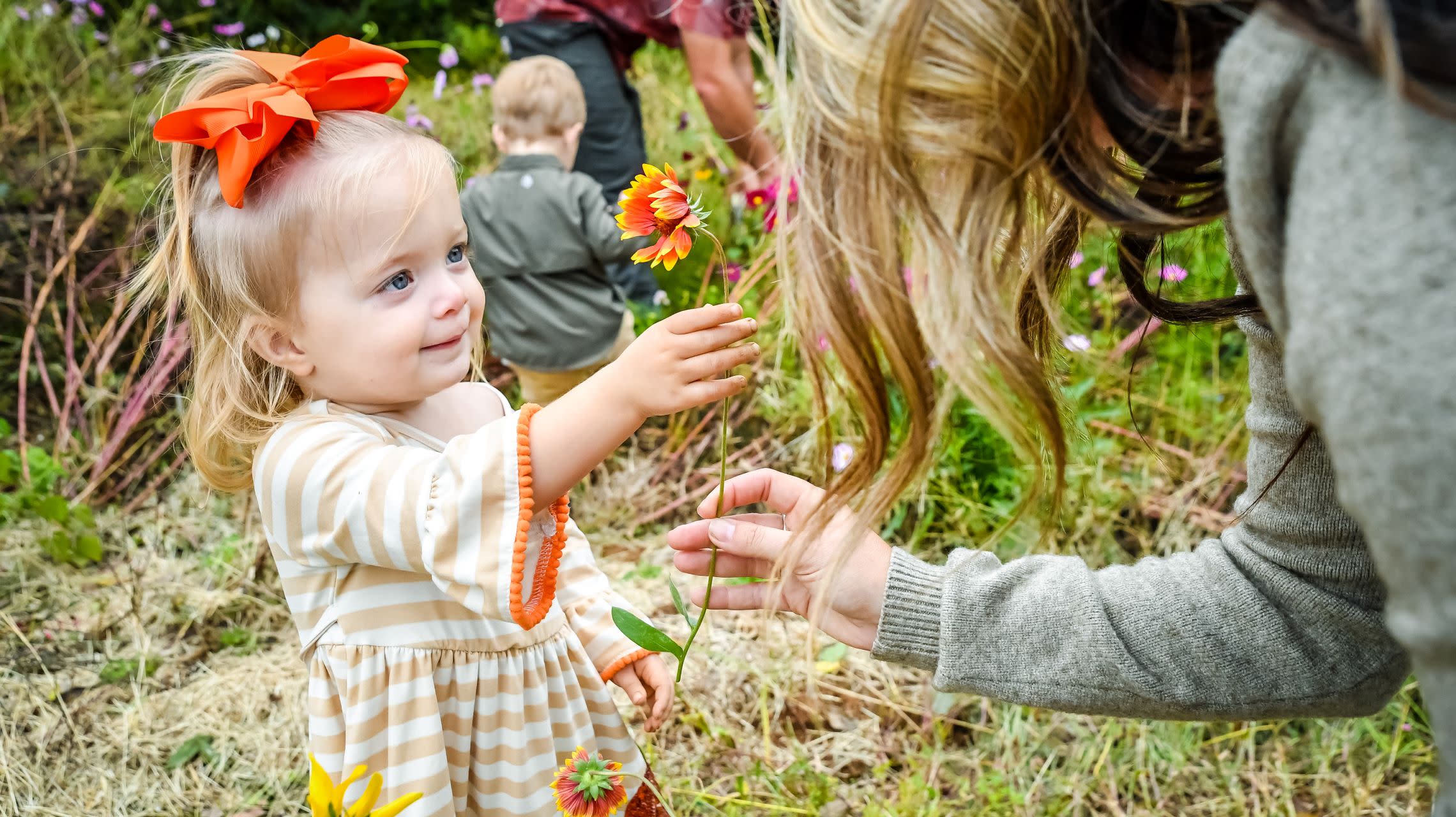 girl hands flower to mother