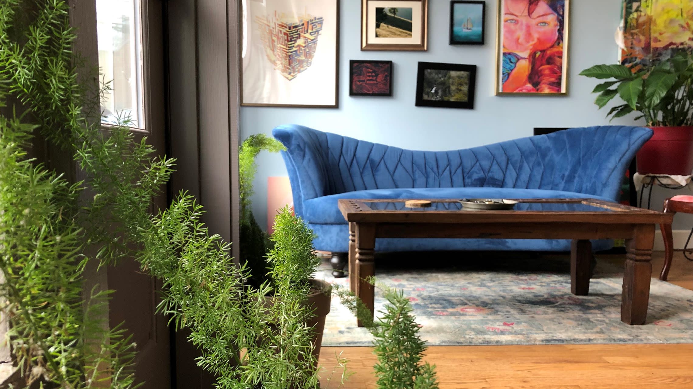 couch and plant