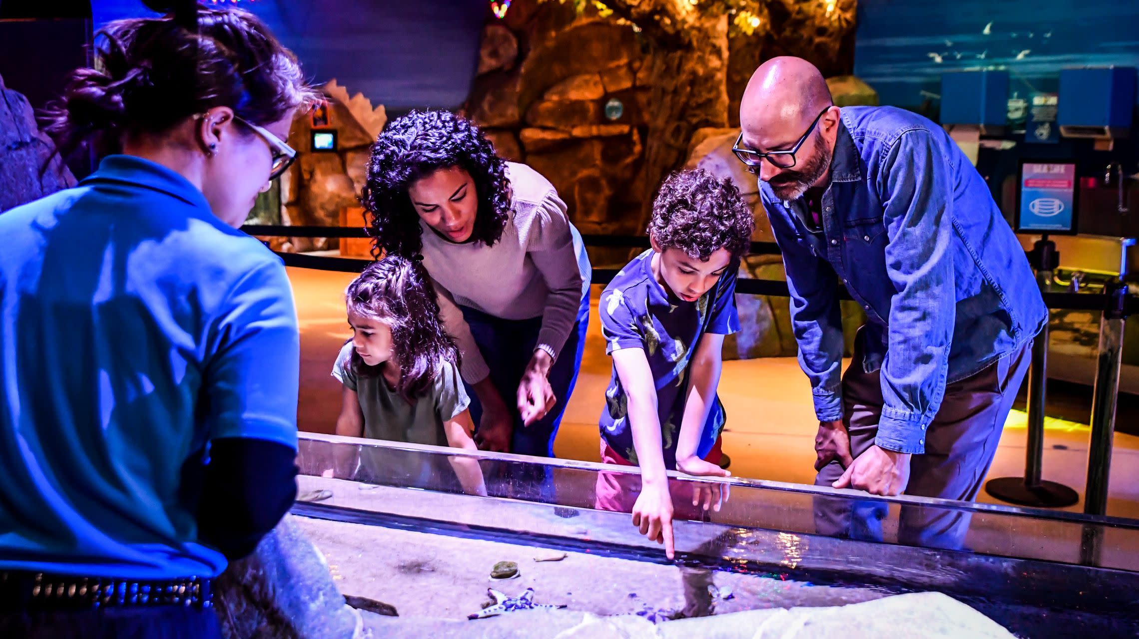 family interacts with sea life at touch pool