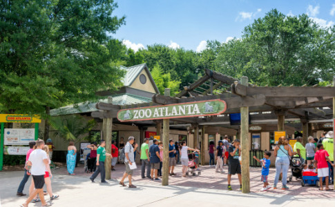 Zoo Atlanta - Family Fun at the Atlanta Zoo