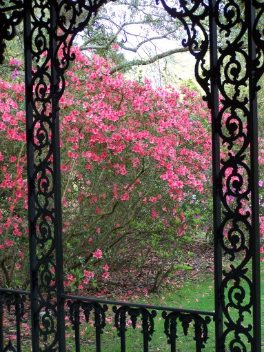 Wonderful Wednesdays at Bellingrath: Terra Cotta Planter Workshop