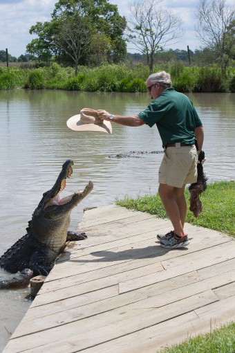 Alligators and Ale Race and Cornhole Tournament