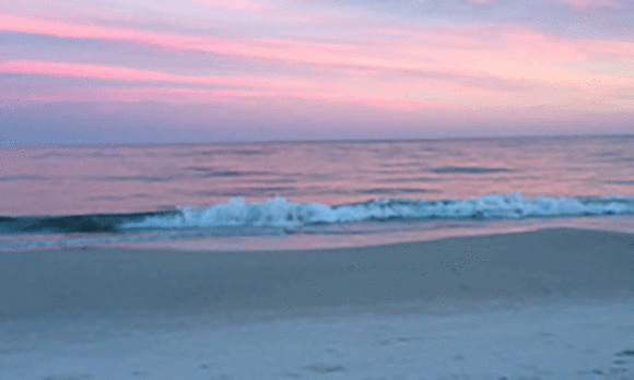 Beach Breeze LLC Tropic Isles Condo Unit 702