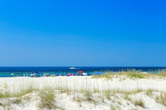 2020 The March to May Collegiate Beach Volleyball Tournament Friends & Family