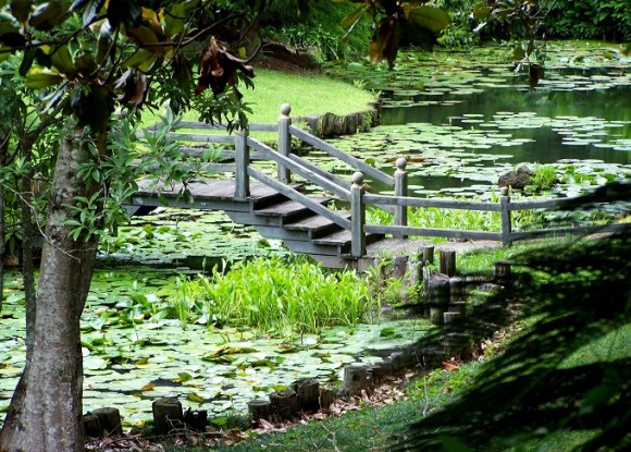 Winter Wednesdays at Bellingrath Gardens and Home