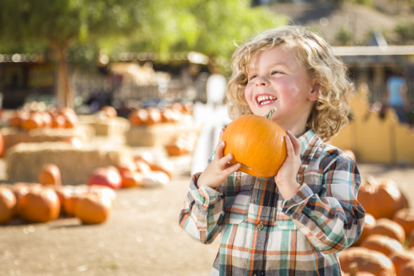 Fall Festival