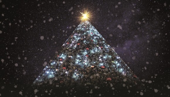 Holiday Tree Show