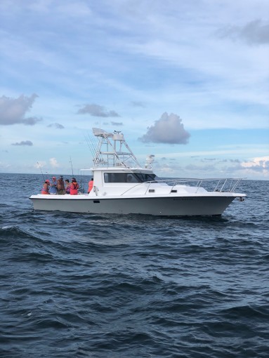 Boll Weevil Charters
