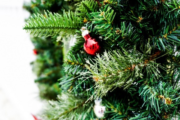 The Christmas Trail