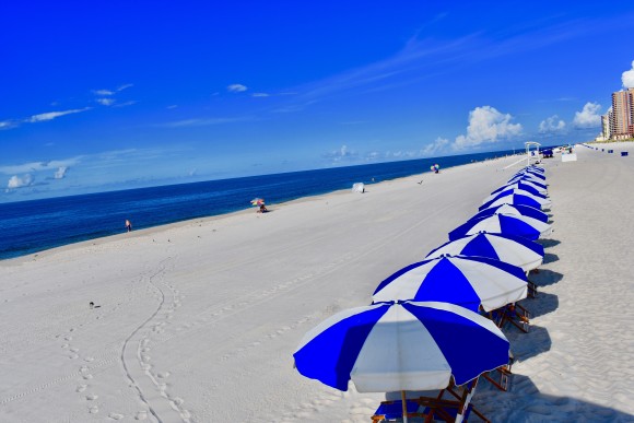 Young's Suncoast Realty & Vacation Rentals