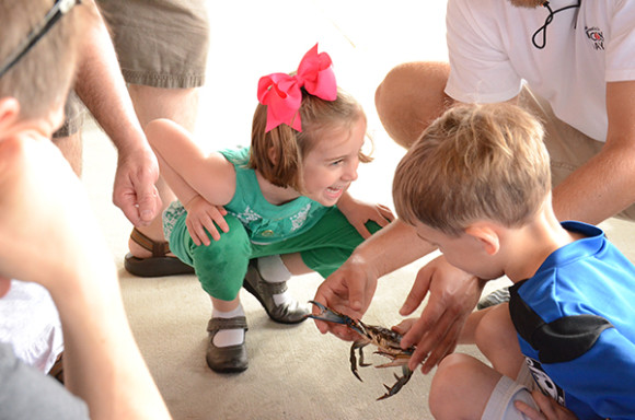 Discovery Day at The Estuarium at The Dauphin Island Sea Lab