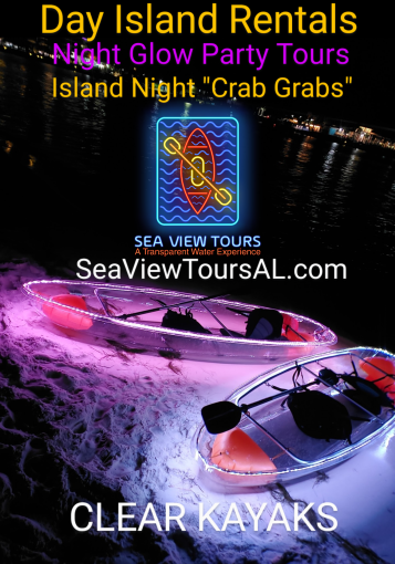 Sea View Tours