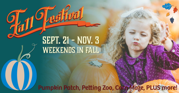 Fall Festival