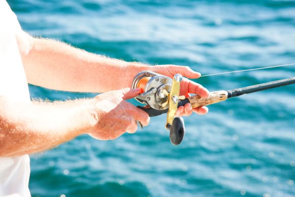 Fish Trap Charters