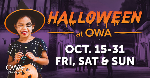 Halloween at OWA
