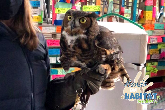 February 7, Hands-on Habitat with Gulf State Park - FREE EVENT