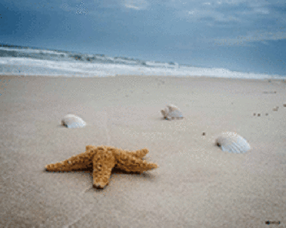 Hibiscus Cove Rentals at Sea Oats