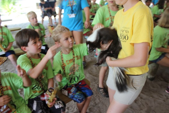 Zoo Camp at the Alabama Gulf Coast Zoo