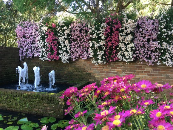 Fall Outdoor Cascading Chrysanthemums at Bellingrath Gardens and Home
