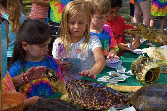 Kids Gulf Discovery Day
