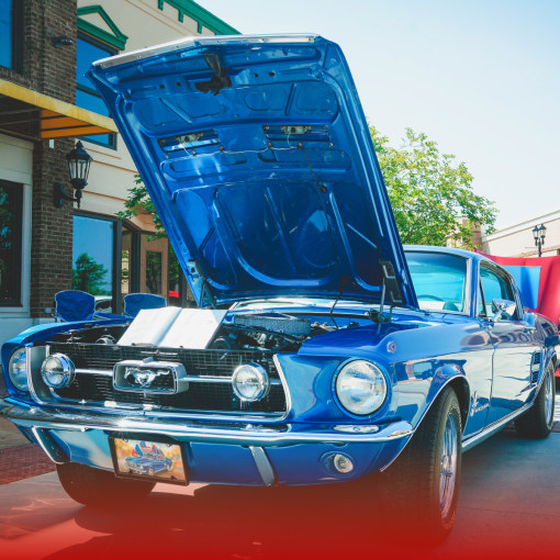 Gulf Coast Regional Mustang & Mega Car Show