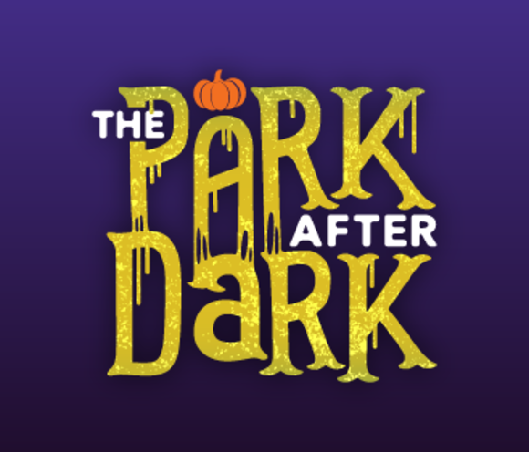 Park After Dark