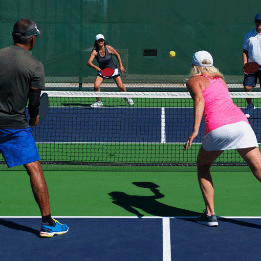 Pickleball Open Play