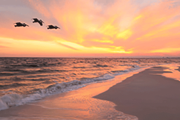 Coastal Link Properties LLC