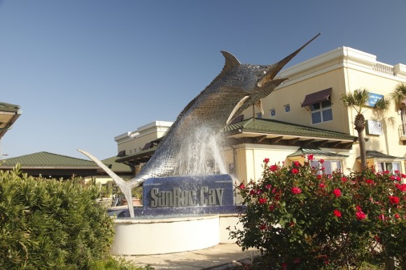 SanRoc Cay Art & Farm Market