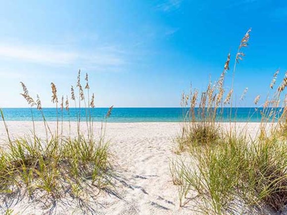 Southern Vacation Rentals