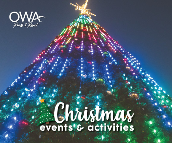 Christmas at OWA