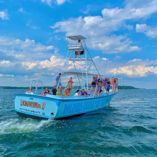 Surf's Up Dolphin Cruises