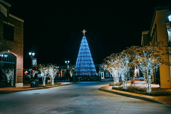 OWA's Tree Lighting Ceremony