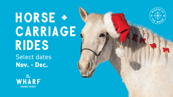 Holiday Horse + Carriage Rides