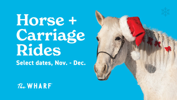 Holiday Horse and Carriage Rides at The Wharf
