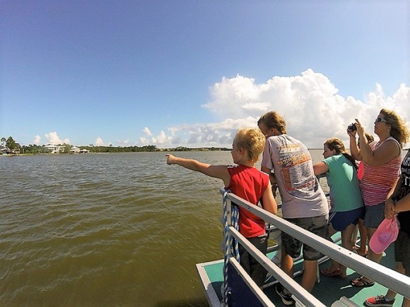 Surf's Up Dolphin Cruises