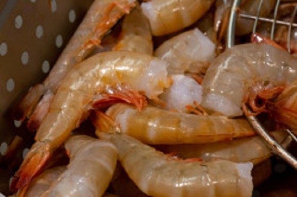 Aquila Seafood